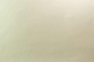 Diary Paper